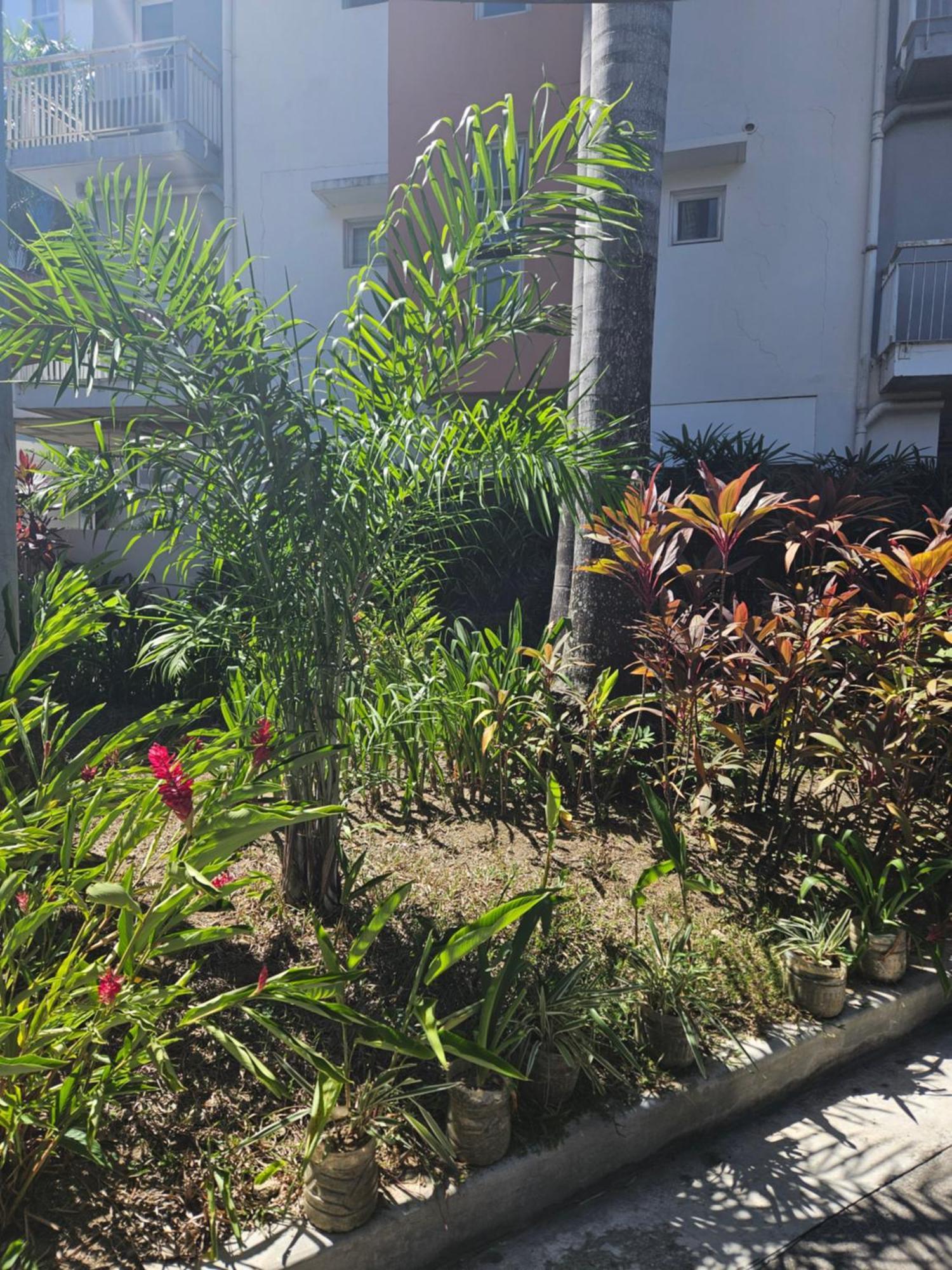 2-Bedroom Boutique City Condo - Newly Renovated! 宿务 外观 照片